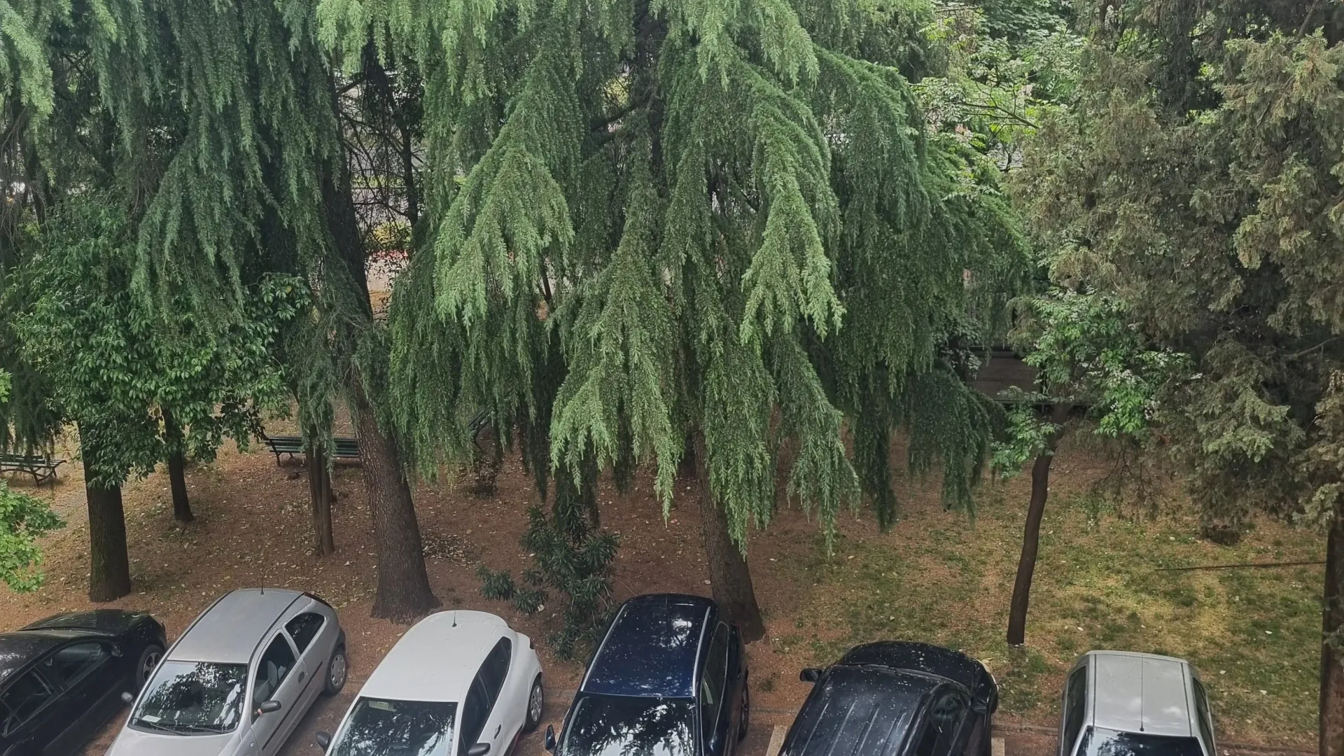 Prodaja, dvosoban stan, 84m², Preko Morače, Podgorica