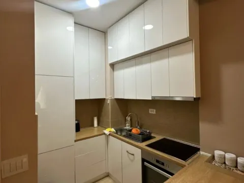 Rent, one bedroom apartment, 45m², Zabjelo, Podgorica - image 2