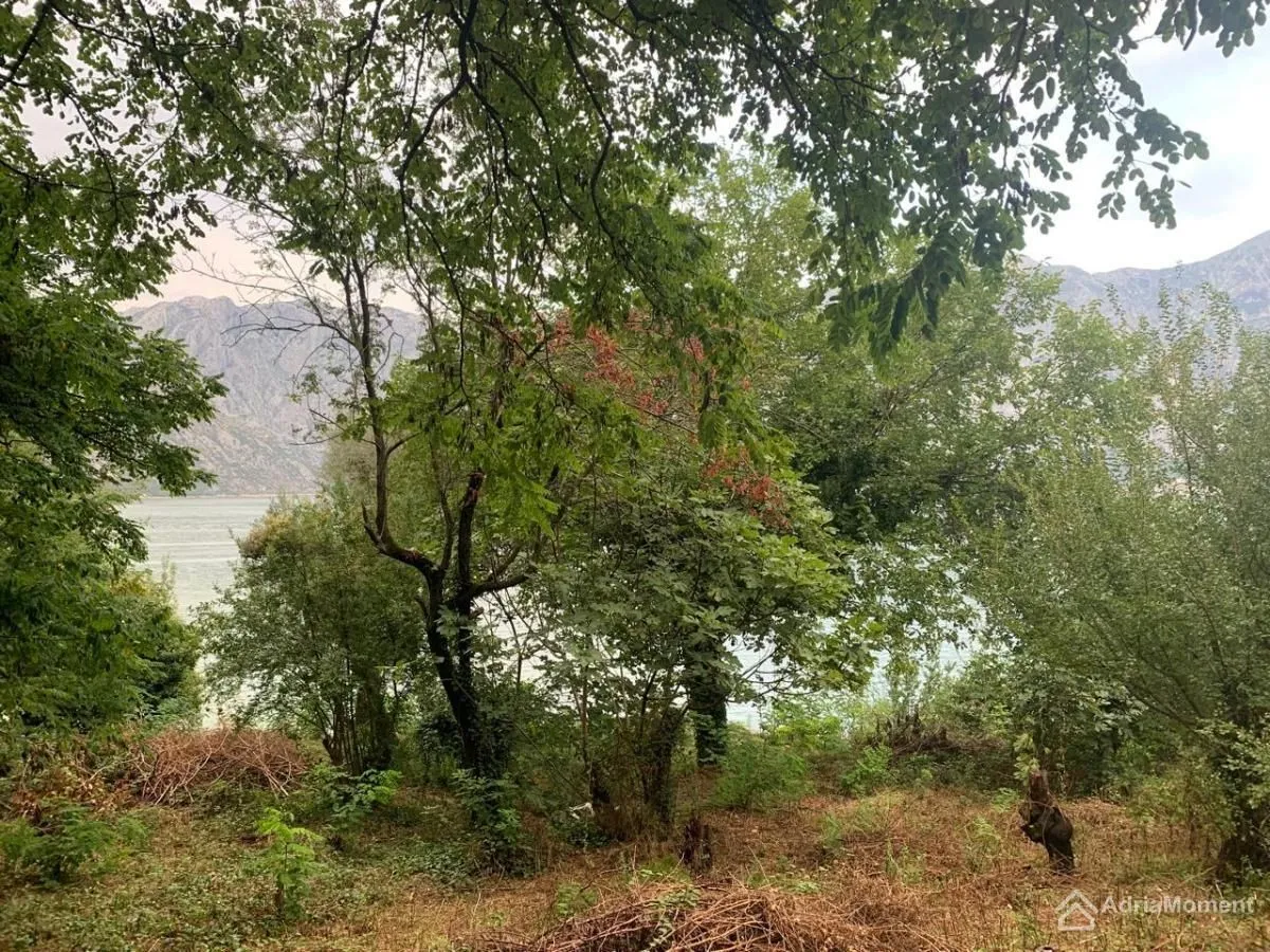 Prodaja, plac, 204100m², Stoliv, Kotor