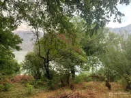 Prodaja, plac, 204100m², Stoliv, Kotor - image 4