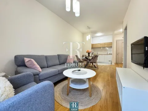 Izdavanje, jednosoban stan, 42m², Central Point, Podgorica - image 3