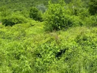 Sale, land lot, 523m², Pažići, Danilovgrad - image 3