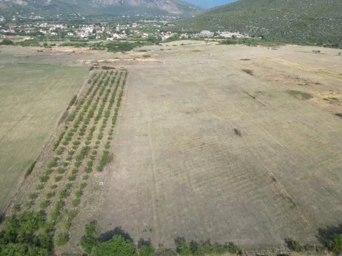 Prodaja, plac, 19800m², Donja Gorica, Podgorica - image 4