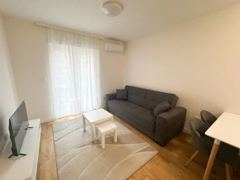 Izdavanje, jednosoban stan, 40m², Zabjelo, Podgorica - image 2