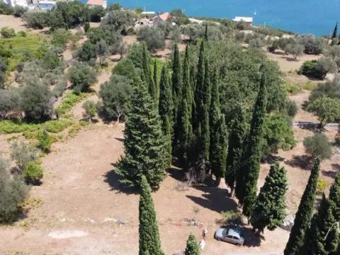 Prodaja, plac, 2391m², Sutorina, Herceg Novi - image 3