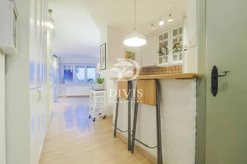Izdavanje, dvosoban stan, 47m², Neimar, Vračar Sve Podlokacije