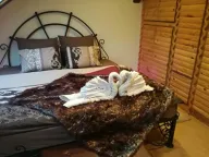 Izdavanje, dvosoban stan, 70m², Zemun Centar, Zemun Sve Podlokacije - image 8