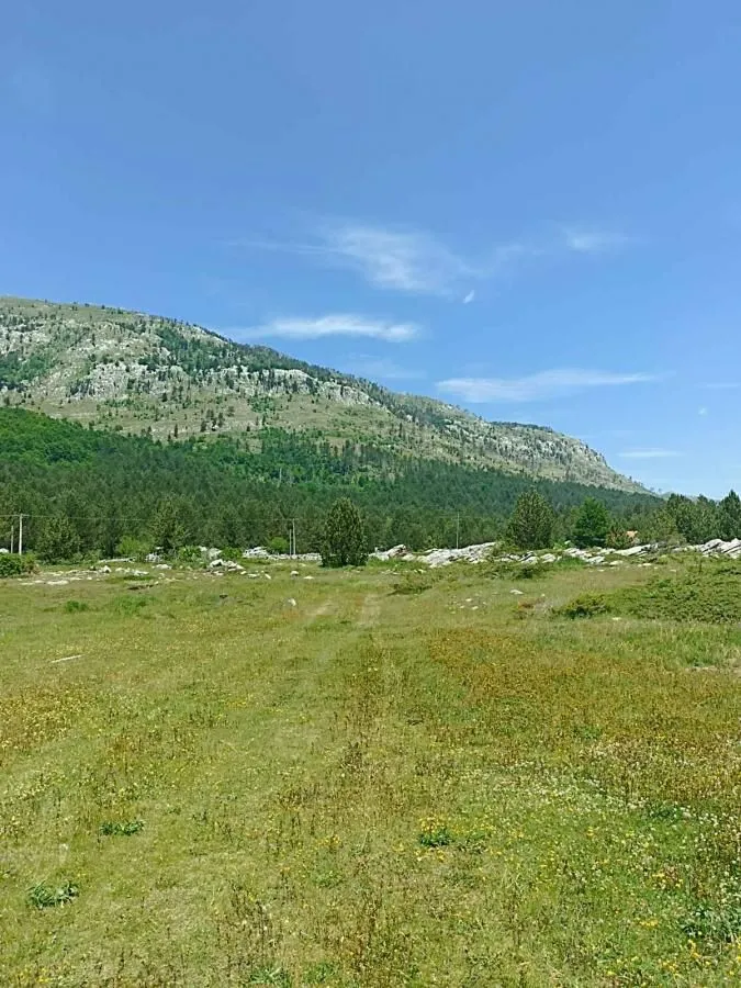 Prodaja, plac, 500m², Podgorica, Crna Gora