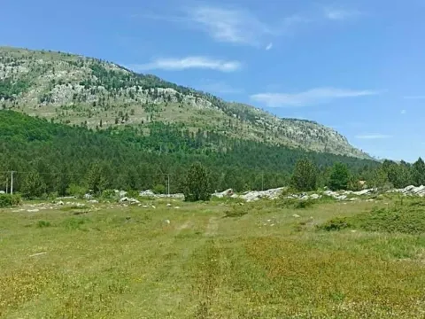 Prodaja, plac, 500m², Podgorica, Crna Gora - image 5