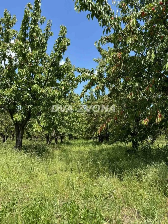 Prodaja, plac, 28700m², Novi Slankamen, Inđija