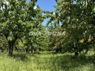 Sale, land lot, 287m², Novi Slankamen, Inđija - image 3