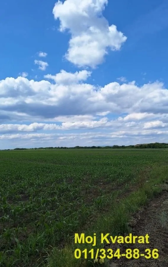 Prodaja, plac, 6200m², Šimanovci, Pećinci