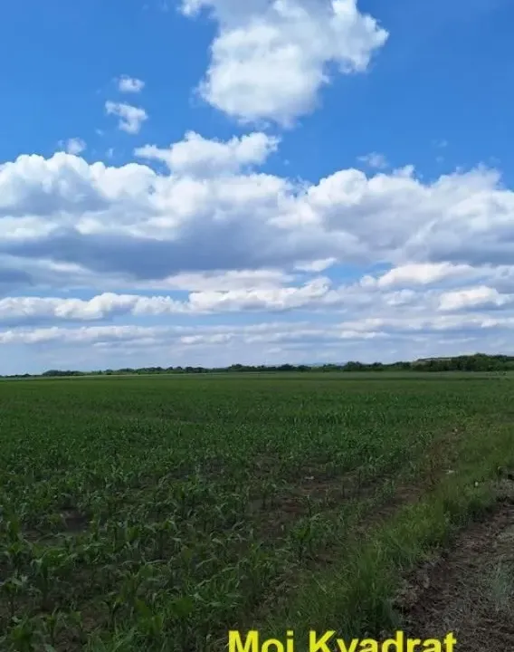 Prodaja, plac, 62m², Šimanovci, Pećinci