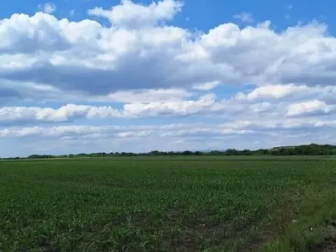 Zemljište in Šimanovci