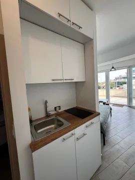 Small white kitchen with a sink and built-in hob, connected to the room and terrace. - image 7