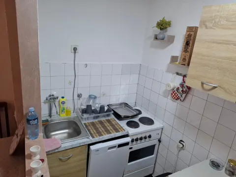 Rent, one bedroom apartment, 33m², Zabjelo, Podgorica - image 5