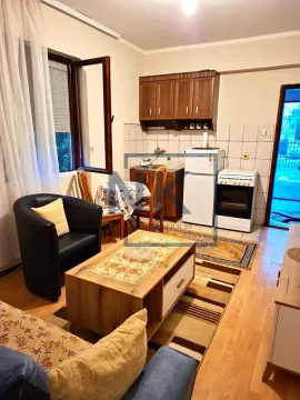 Rent, one bedroom apartment, 30m², Stari Aerodrom, Podgorica - image 3