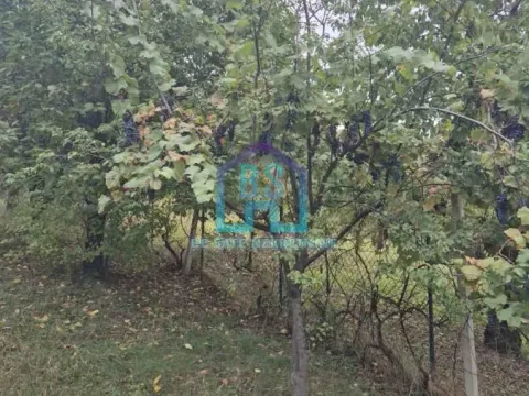 Prodaja, plac, 1200m², Alibegovac, Petrovaradin - image 6