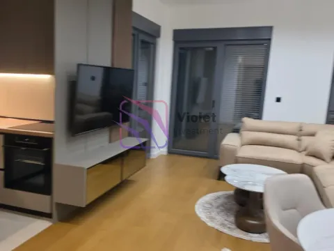 Izdavanje, jednosoban stan, 47m², Dalmatinska ulica, Podgorica - image 26
