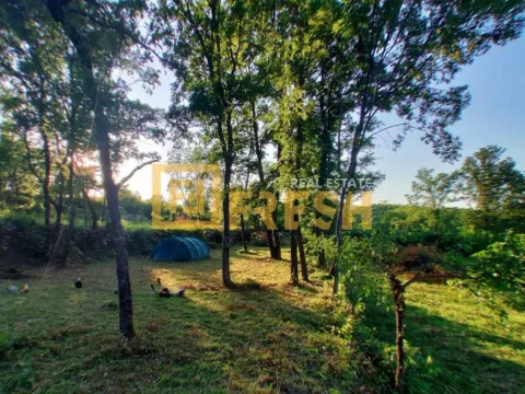 Sale, land lot, 16300m², Ostalo, Podgorica