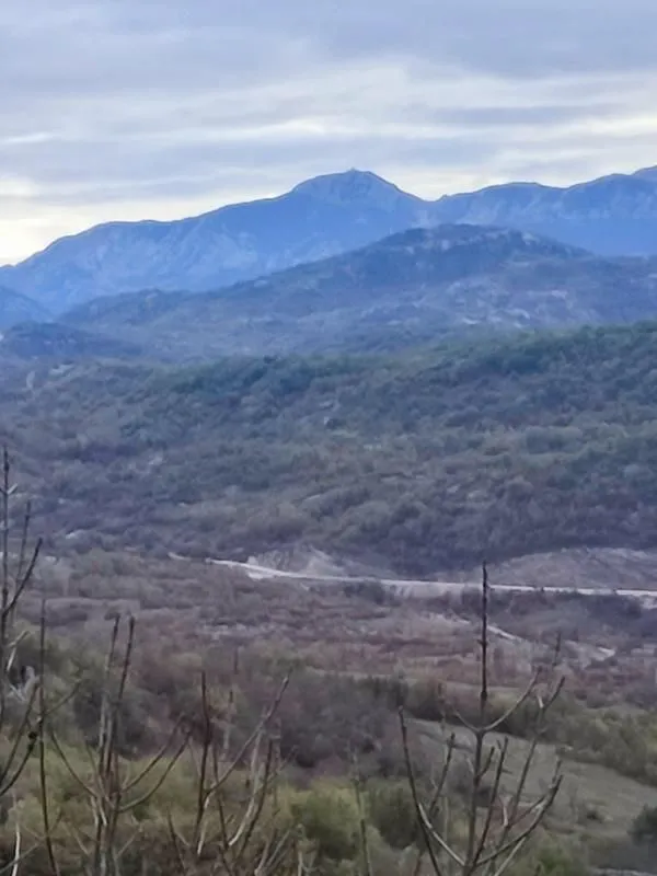 Prodaja, plac, 26000m², Cetinje, Crna Gora