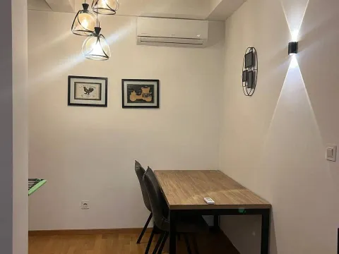 Izdavanje, jednosoban stan, 49m², Stari Aerodrom, Podgorica - image 8