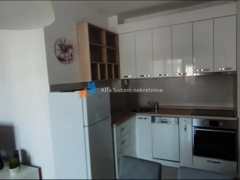 Rent, two bedroom apartment, 55m², Vračar Sve Podlokacije, Beograd - image 8