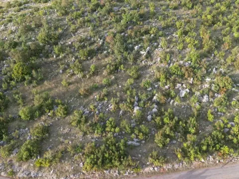 Prodaja, plac, 500m², Rogami, Podgorica - image 2