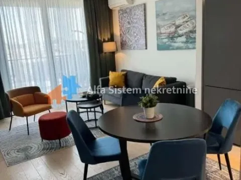 Izdavanje, dvosoban stan, 52m², Savski Venac, Beograd - image 5