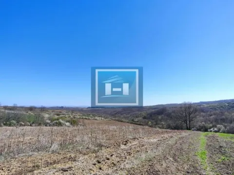 Prodaja, plac, 265m², Vranovac, Jagodina - image 5