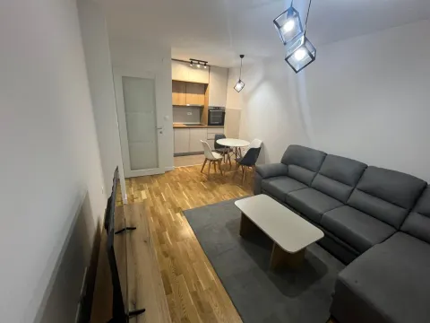 Rent, one bedroom apartment, 45m², Pobrežje, Podgorica - image 3