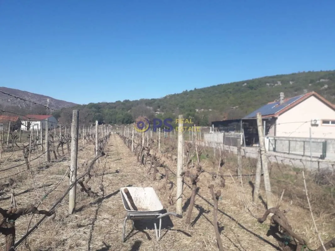 Prodaja, plac, 1546m², Podgorica, Crna Gora