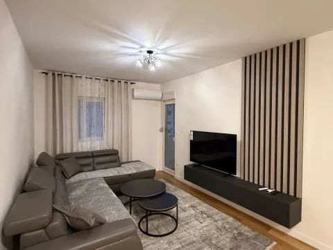 Izdavanje, jednosoban stan, 47m², Central Point, Podgorica - image 1