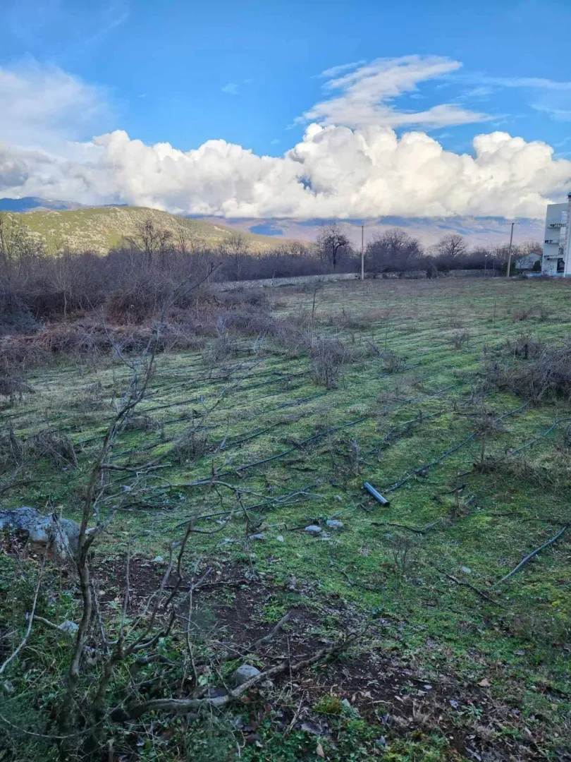 Prostran plac okružen prirodom i brdima u daljini.