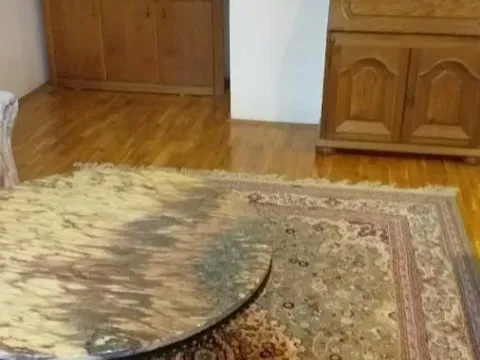 Izdavanje, dvosoban stan, 50m², Grbavica, Novi Sad Sve Podlokacije - image 2