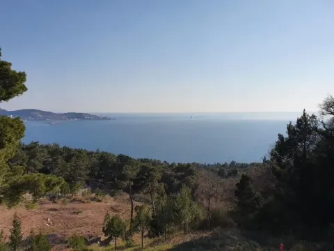 Prodaja, plac, 6500m², Bar, Crna Gora - image 5