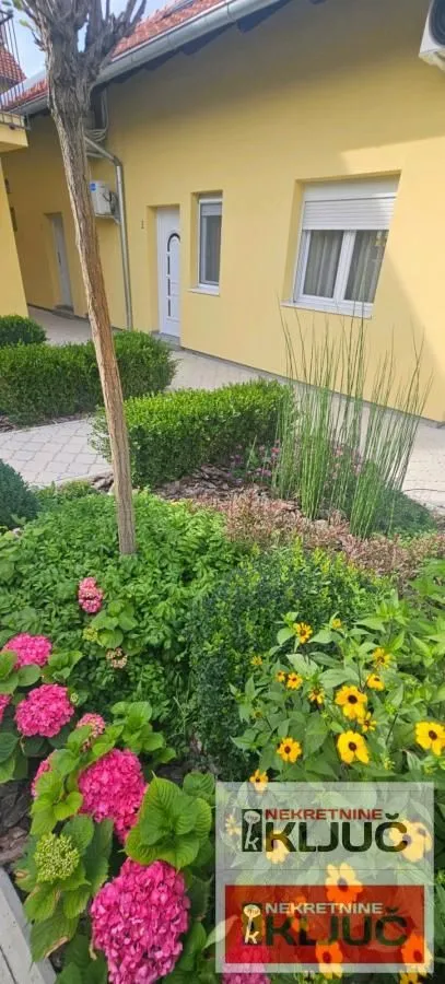 Izdavanje, jednosoban stan, 40m², Centar, Novi Sad