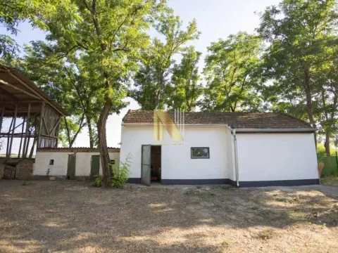 Prodaja, kuća, 275m², Srbobran, Novi Sad - image 2