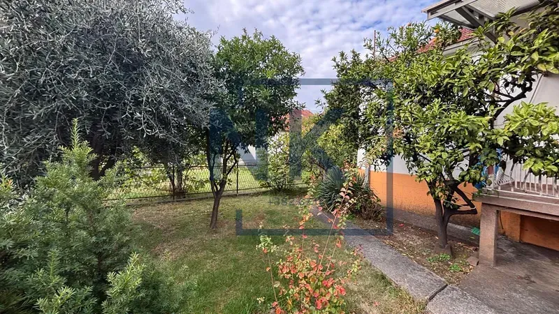 Green yard with trees and part of the house.