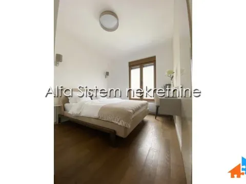 Izdavanje, dvosoban stan, 43m², Vračar Centar, Vračar Sve Podlokacije - image 9