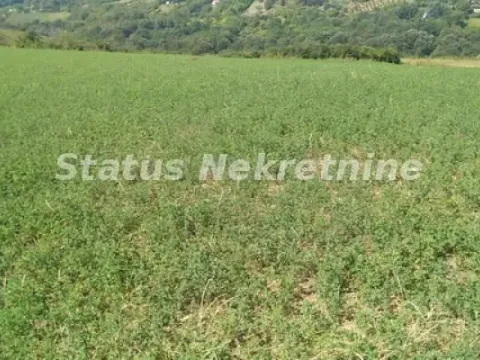 Prodaja, plac, 7600m², Ledinci, Petrovaradin - image 2