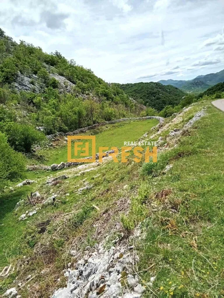 Prodaja, plac, 49212m², Cetinje, Crna Gora