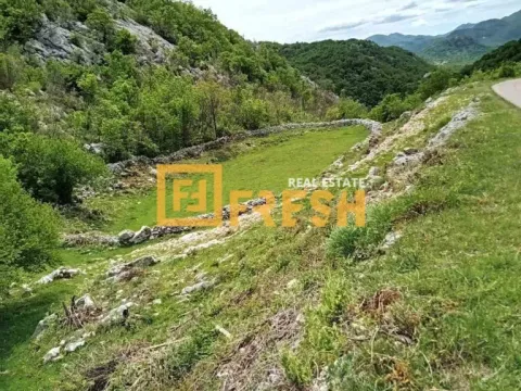 Prodaja, plac, 49212m², Cetinje, Crna Gora - image 2