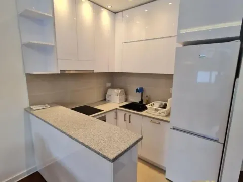 Izdavanje, jednosoban stan, 36m², Novi Beograd Blok 67, Novi Beograd Sve Podlokacije - image 4