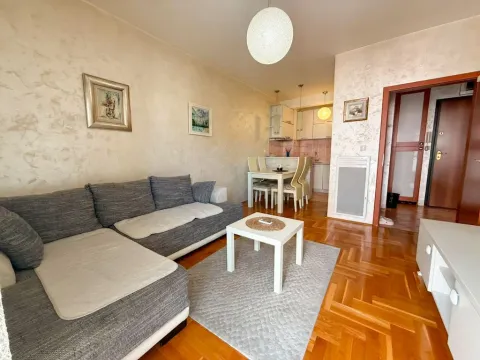 Rent, one bedroom apartment, 43m², Zabjelo, Podgorica - image 2