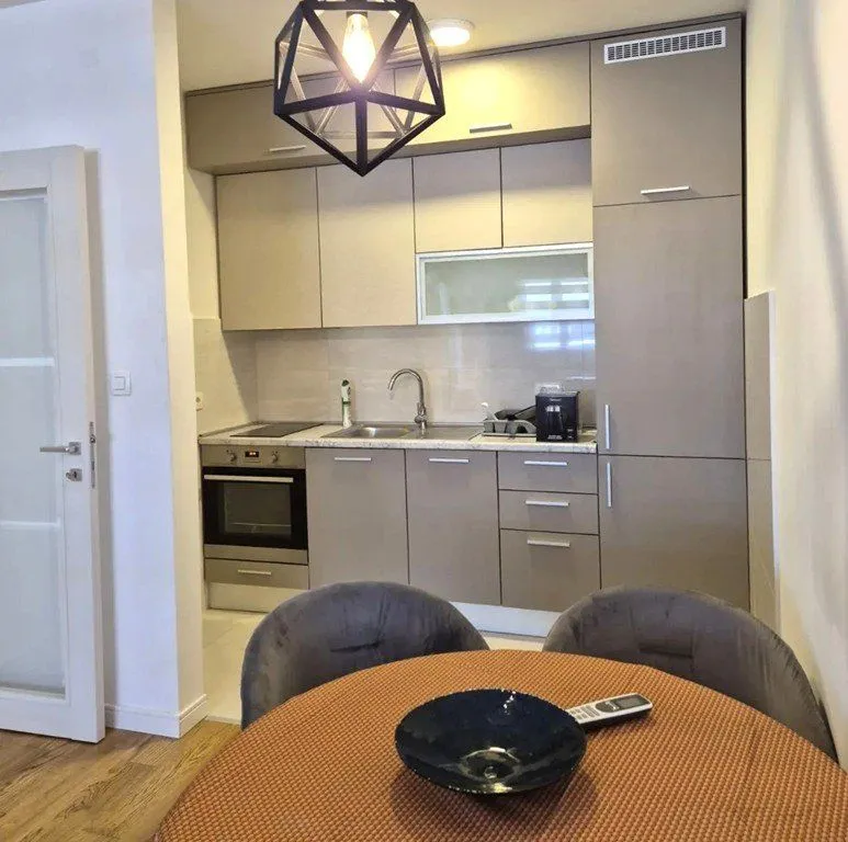 Izdavanje, jednosoban stan, 49m², Central Point, Podgorica