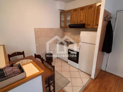 Izdavanje, dvosoban stan, 45m², Vračar Hram, Vračar Sve Podlokacije - image 5