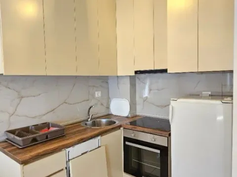 Izdavanje, jednosoban stan, 40m², Zabjelo, Podgorica - image 12