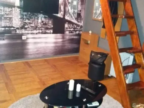 Izdavanje, jednosoban stan, 36m², Centar, Novi Sad - image 4