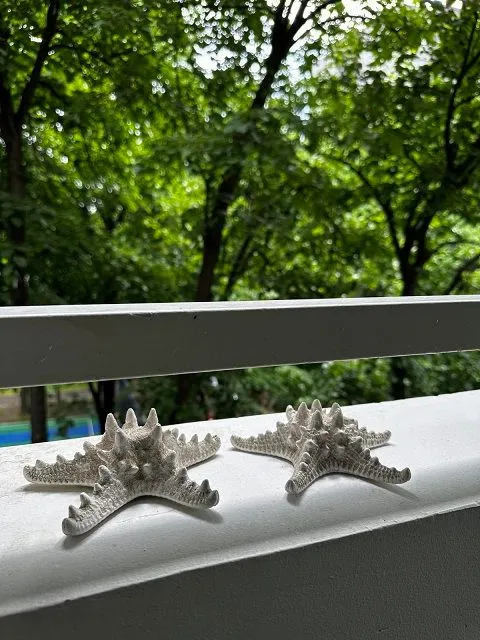 Rent, three bedroom apartment, 55m², Zemun Sve Podlokacije, Beograd